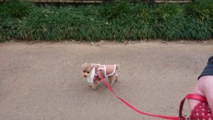 夜のお時間 2020/2/3