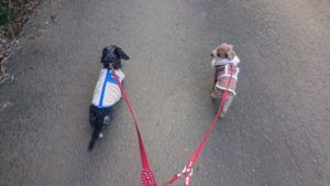 朝のお時間 2020/2/4