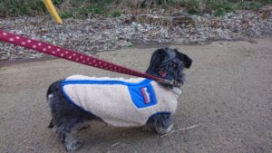 夜のお時間 2020/2/4