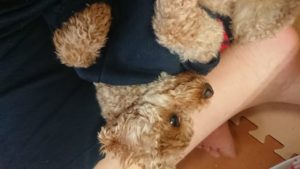 昼のお時間 2020/2/4