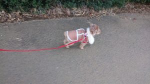 夜のお時間 2020/2/5