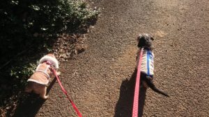 朝のお時間 2020/2/5