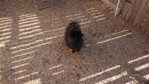 昼のお時間 2020/2/5