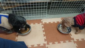 朝のお時間 2020/2/6