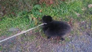 夜のお時間 2020/2/6