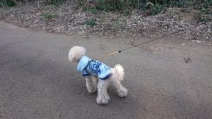 朝のお時間 2020/2/7