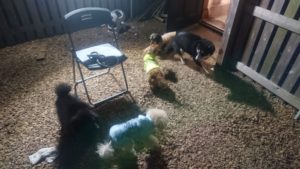 夜のお時間 2020/2/7