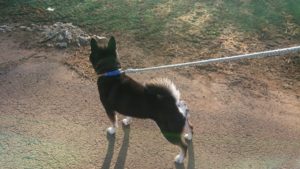 朝のお時間 2020/2/8