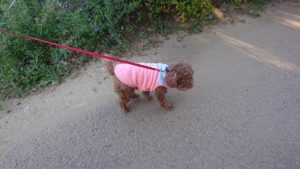 夜のお時間 2020/2/8