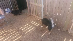 午後のお時間 2020/2/8