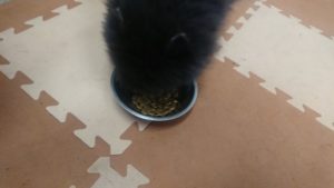 朝のお時間 2020/2/9