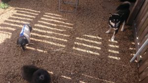 午後のお時間 2020/2/9