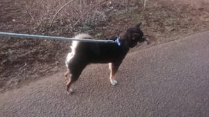 夜のお時間 2020/2/9