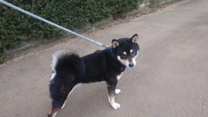 朝のお時間 2020/2/10