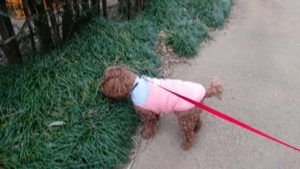 夜のお時間 2020/2/10