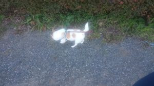 朝のお時間 2020/2/12