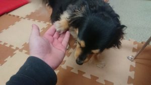 昼のお時間 2020/2/12