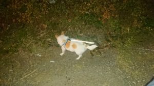 夜のお時間 2020/2/12