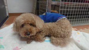 夜のお時間 2020/2/18