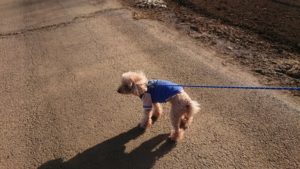 朝のお時間 2020/2/19