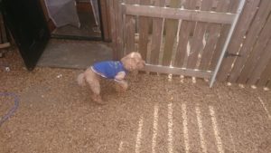 午後のお時間 2020/2/19