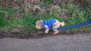 夜のお時間 2020/2/19