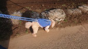 朝のお時間 2020/2/20