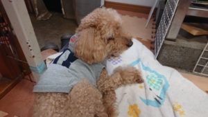 午後のお時間 2020/2/20