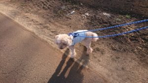 朝のお時間 2020/2/21