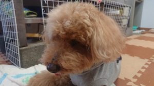 昼のお時間 2020/2/21