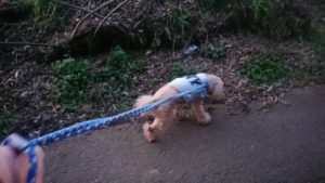 夜のお時間 2020/2/21