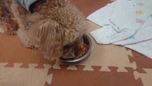 朝のお時間 2020/2/22