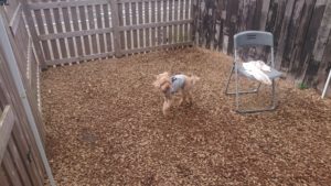 昼のお時間 2020/2/22