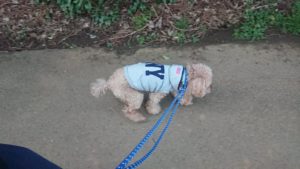 夜のお時間 2020/2/22