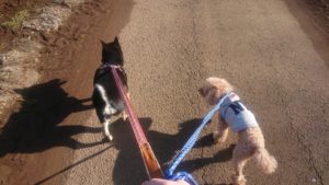 朝のお時間 2020/2/23