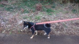 夜のお時間 2020/2/23