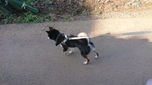 朝のお時間 2020/2/24