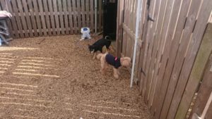 午後のお時間 2020/2/24