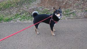 夜のお時間 2020/2/24