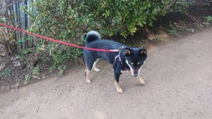 朝のお時間 2020/2/25