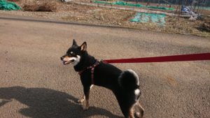 夜のお時間 2020/2/25