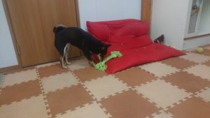 午後のお時間 2020/2/25