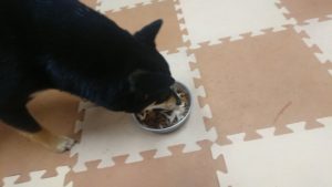 朝のお時間 2020/2/26