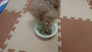 朝のお時間 2020/2/29