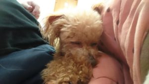 昼のお時間 2020/2/29