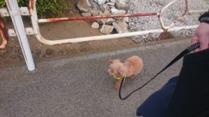 夜のお時間 2020/2/29