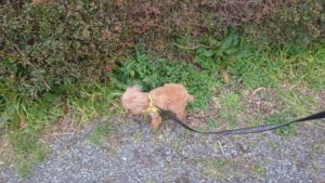 夜のお時間 2020/3/1