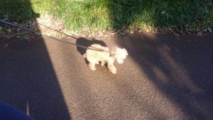 朝のお時間 2020/3/1