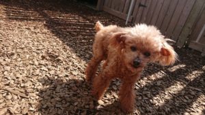 昼のお時間 2020/3/1