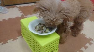 朝のお時間 2020/3/2